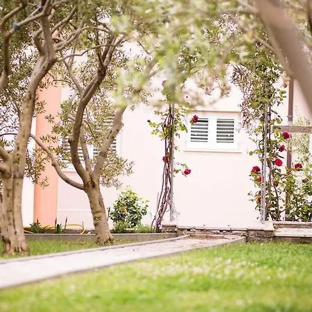 Sara * Подстрана